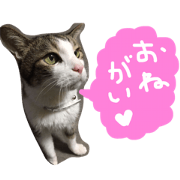 The willful stamp second of Tom!