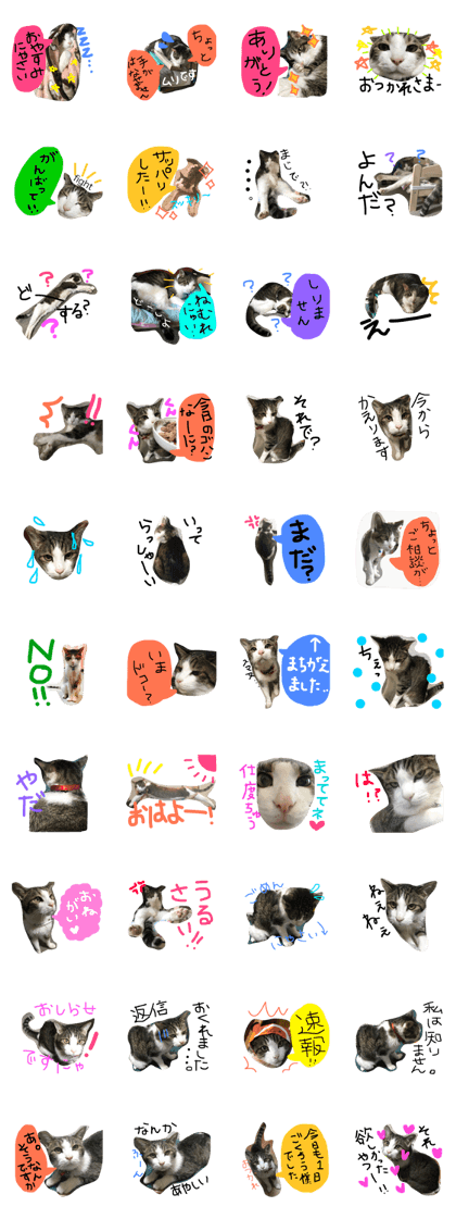 The willful stamp second of Tom!