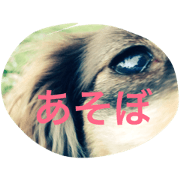 hana be happy