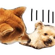 sora and milky sora and milky