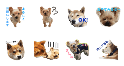 sora and milky sora and milky