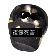 GO!GO!Baru!2 GO!GO!Baru!2