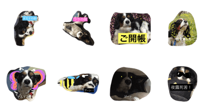 GO!GO!Baru!2 GO!GO!Baru!2