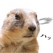 Prairie Dogs for Enjoying conversation 2 Prairie Dogs for Enjoying conversation 2