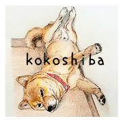 KOKOSHIBA 1