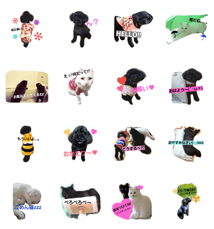 WAN!NIYAN! WAN!NIYAN!