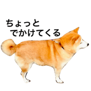 MiMi no stamp MiMi no stamp