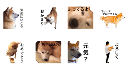 MiMi no stamp MiMi no stamp