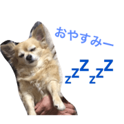 kanas stanp kanas stanp