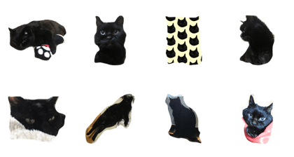 chubby cat is Kuro chubby cat is Kuro