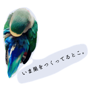 bluecherry bluecherry