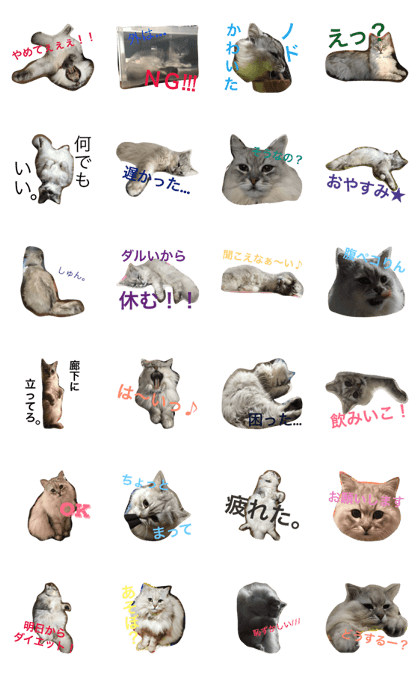 uchinohokuchan uchinohokuchan