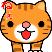 Moving Cat Sticker Moving Cat Sticker