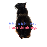 Today's Shouko-san. Today's Shouko-san.