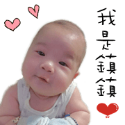 Little egg's lovely life 2 Little egg's lovely life 2