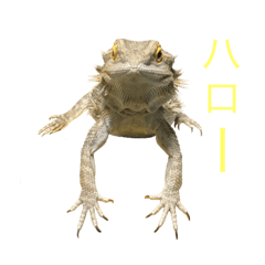 miki_20210530110355