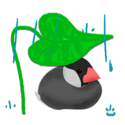 Bubuchan Sticker Bubuchan Sticker