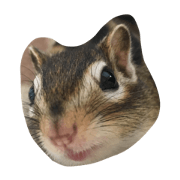 shimashimarisu. shimashimarisu.