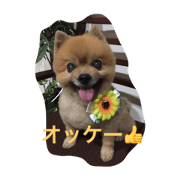 WAFU STAMP WAFU STAMP