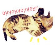 KICHI KICHI Brothers-KoreanVer- KICHI KICHI Brothers-KoreanVer-