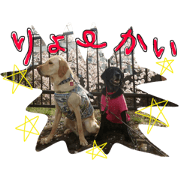 Julia & Gear Julia & Gear