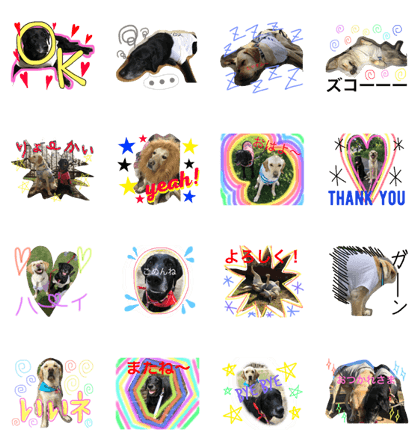 Julia & Gear Julia & Gear