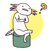 Axolotls (English ) Axolotls (English )