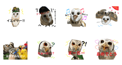 KONOHA&BEE1 KONOHA&BEE1