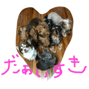 LOVEdogLOVEcat LOVEdogLOVEcat