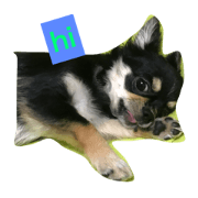 cuty&beauty cuty&beauty