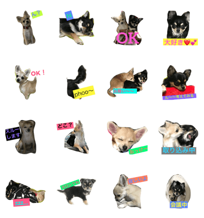 cuty&beauty cuty&beauty