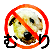 brazen-faced animals brazen-faced animals