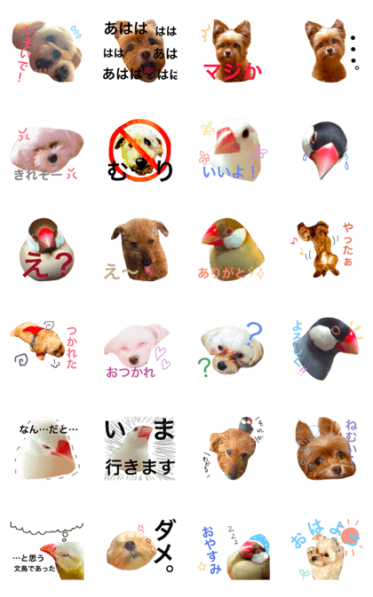 brazen-faced animals brazen-faced animals