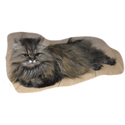 dai&poppochian with mirutan dai&poppochian with mirutan