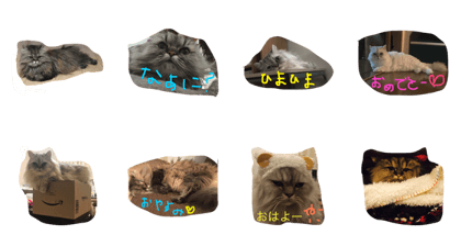 dai&poppochian with mirutan dai&poppochian with mirutan