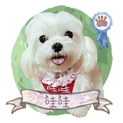 Cute doll princess finally move up! Cute doll princess finally move up!