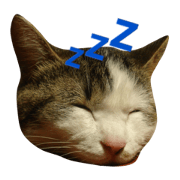 sinoppenokao sinoppenokao