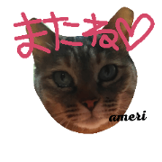 name Ameri name Ameri