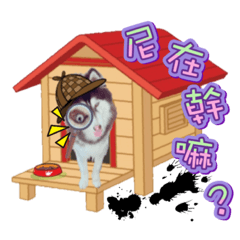 LEO 阿拉斯加哈士奇