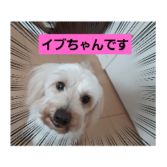 honostamp_20210530142930