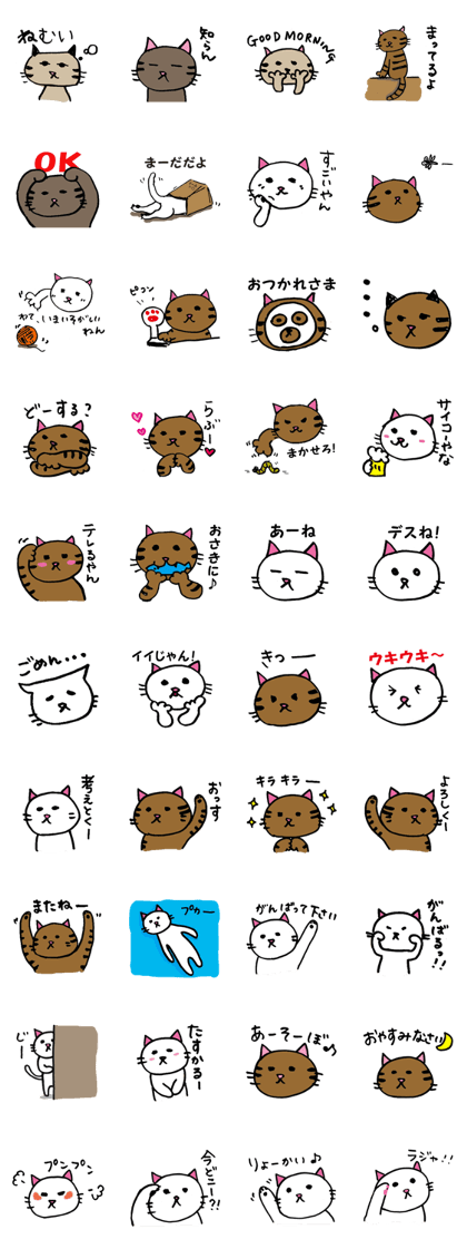 Cotoha's white cat & friends Cotoha's white cat & friends