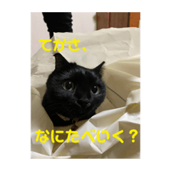 kazuki_20210530151154