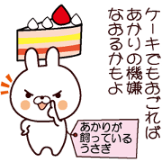 Akari's rabbit Akari's rabbit