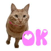 Daily Sticker of Moco Daily Sticker of Moco