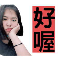 洪洪的生活日常