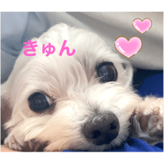 koko_20210530145515