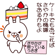 Sayaka's rabbit Sayaka's rabbit