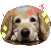 golden Ruka golden Ruka