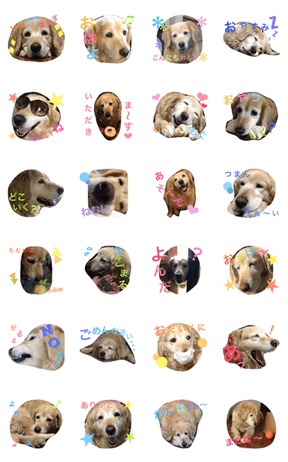 golden Ruka golden Ruka