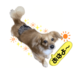 ken_20210530152504